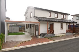 マテリアルカラーミディアムチェリー