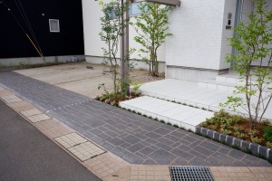 ホワイトバーチ